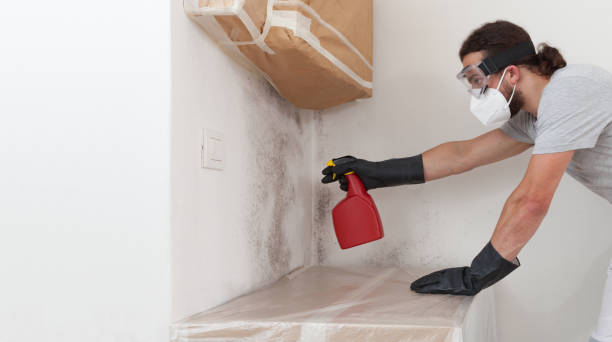 Professional Black Mold Remediation technician working in Jericho, NY